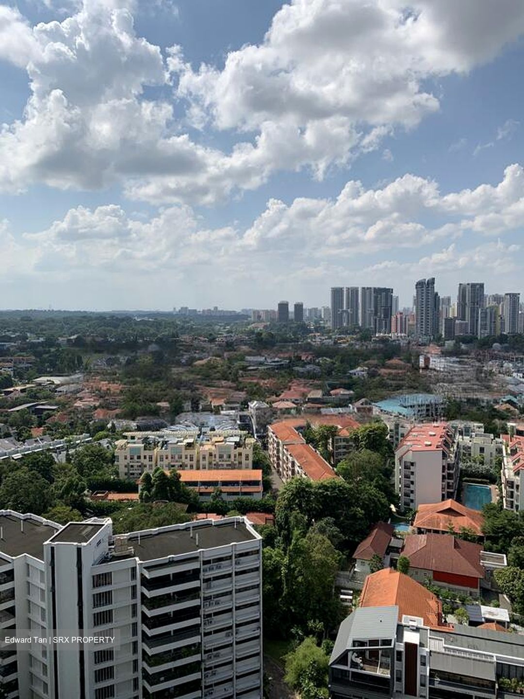 Residences @ Evelyn (D11), Condominium #638601471
